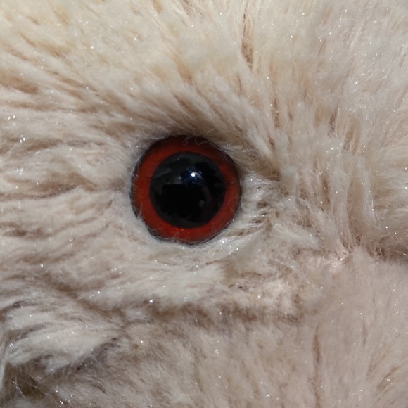 Kid’s Aéropostale Stuffed Teddy Bear with Scarf. One size. Gift card holder. - Picture 9 of 9